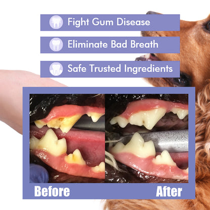 Oral Spray Advanced Dental Care for Dogs & Cats